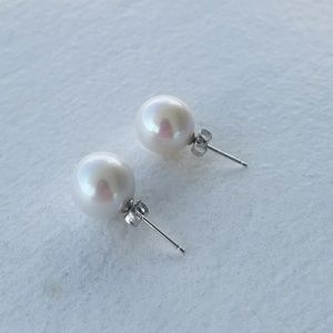 White Freshwater Pearl Studs Sterling Silver